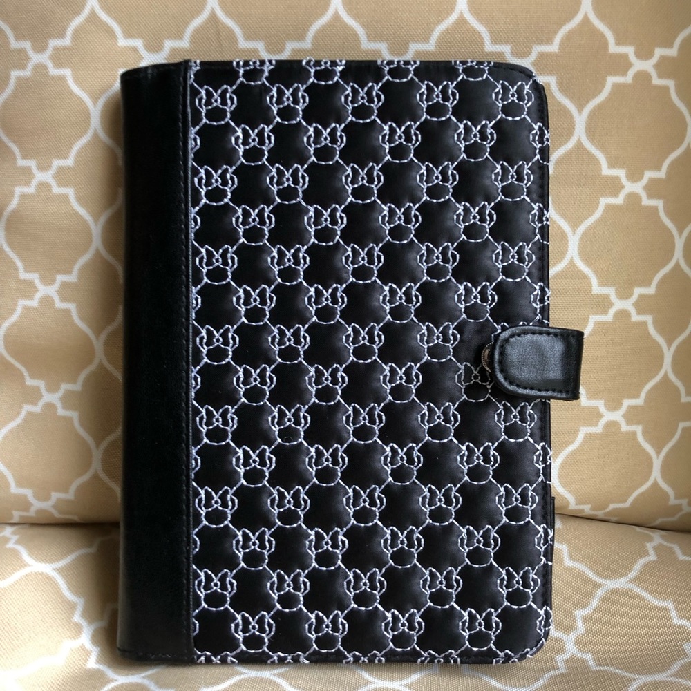 Disney Park like new Kindle/mini IPAD case.